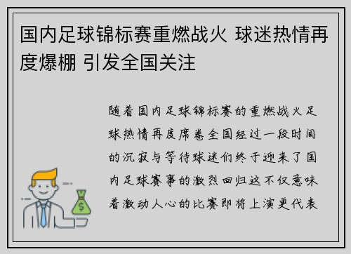 国内足球锦标赛重燃战火 球迷热情再度爆棚 引发全国关注
