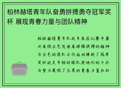 柏林赫塔青年队奋勇拼搏勇夺冠军奖杯 展现青春力量与团队精神