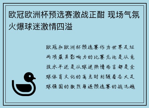 欧冠欧洲杯预选赛激战正酣 现场气氛火爆球迷激情四溢
